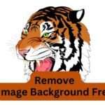 How to Remove Image Background for Free