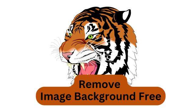 How to Remove Image Background for Free